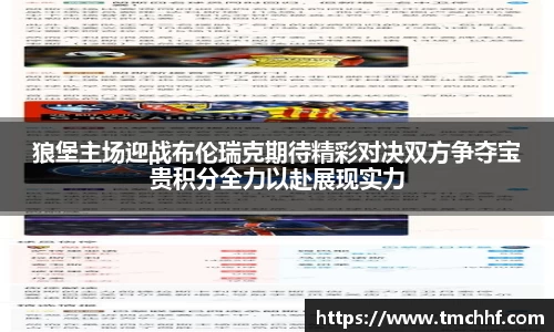 狼堡主场迎战布伦瑞克期待精彩对决双方争夺宝贵积分全力以赴展现实力